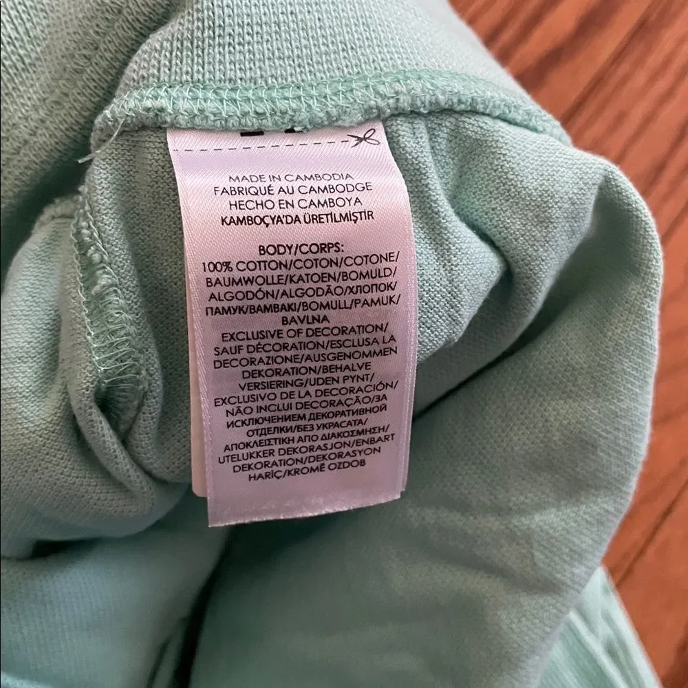 Polo Ralph Lauren Big Pony Mint Green Sz Small